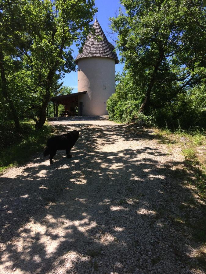Moulin De Rouze Villa Castelnaud-de-Gratecambe Luaran gambar